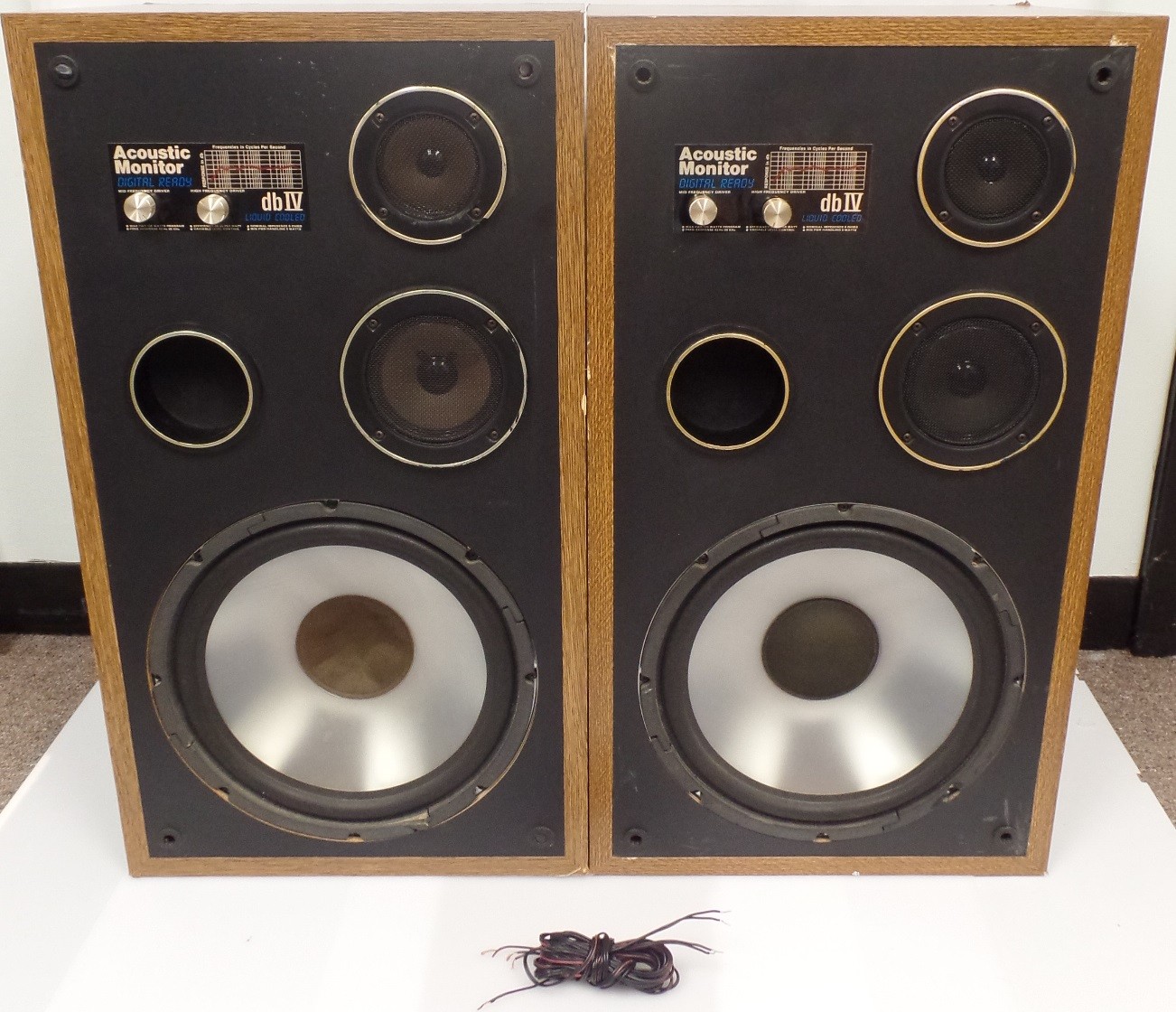 One pair (2 speakers) Acoustic Monitor Digital Ready Speakers dbIV 